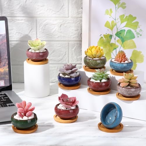 24 Pcs Small Succulent Pots with Drainage - 2.5 Inch Mini Ceramic Cactus Planters with Bamboo Saucers, 8 Colors Ice Crack Glaze Flower Pots for Plants, Home Office Desk Decor - Image 4