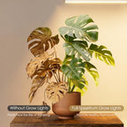 Plant Stand Indoor with Grow Lights - 6 Tiered lighted Plant Shelves Indoor - Image 4