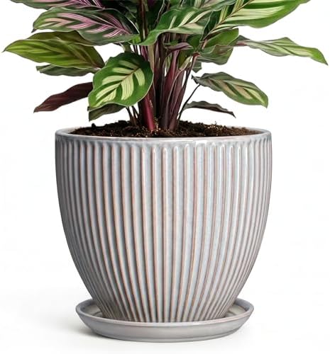 6 Inch Pots for Plants, Ceramic Plant Pots for Indoor Snake Plants, Round Succulent Planter with Drainage Hole and Saucer, Modern Decorative Flower Pot, Bathroom Decor, Gardening Gifts, Grey by Wliror