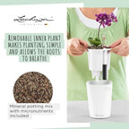 Lechuza 14903 Deltini Self-Watering Planter for Indoor and Outdoor Use, 6" x 6" x 7", Charcoal - Image 7