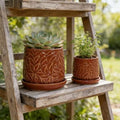 Handmade Ceramic Flower Pot with Leaf Pattern, 6 8 Inch Diameter, Rust Red Color for Orchids, Indoor,Outdoor Use on Windowsills Bookshelves, Breathable Clay with Saucer by Unknown