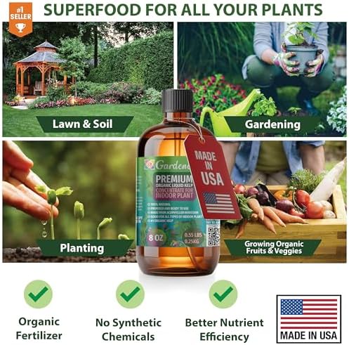 GARDENERA Premium Organic Seaweed & Kelp Superfood for Spider Plant Plants - 32 oz - Liquid Kelp Fertilizer Concentrate (Makes 180 Gallons) - Image 2