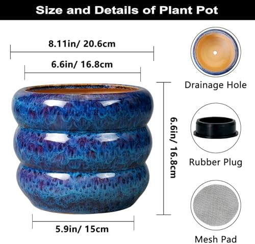 SQOWL Ceramic Planter Pot - 8 Inch Plant Pot Indoor with Drainage Hole Round Outdoor Pot for Plants Decorative Flower Pots Round Planter for Home Room Decor Blue - Image 3