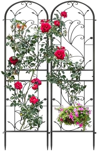 2-Pack 87" x 20" Arch Sunflower Black Metal Garden Trellises by Ultym