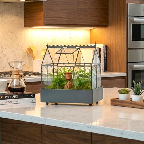 H Potter Glass Terrarium Wardian Case, with Hinged Roof 10.5" Tall - Image 2