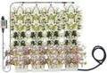 56 Pockets Living Wall Planter, Self Watering Wall Planter, Wall Mounted Planters, for Indoor Outdoor Balcony, Grow Herbs Vegetables Flowers by Unknown