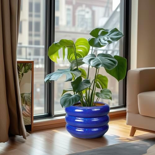 SQOWL Ceramic Plant Pot - 10 Inch Planter for Outdoor Plants Indoor Plant Pot with Drainage Hole Large Planter Decorative Modern Flower Pot for Home Office Decor Blue - Image 2