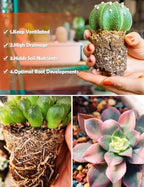 TOYPOPOR Succulent Soil, Cactus Potting Mix 12.5 Pounds/10QTS, High Drainage, Pre-Mixed Ready to Use for All Succulent Varieties, Indoor Plants, Bonsai, Terrarium, Houseplant, 30% Particles 70% Soil - Image 5