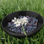 6 Pack Plant Saucer 12 14 16 18 20 22 Inch Plastic Plant Tray, Sturdy and Durable Flower Pot Container Accessories Plant Pot Saucers for Indoor and Outdoor (18 Inch, Black) - Image 4