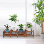 Wood Flower Stand Small Plant Stand Shelf Bench Indoor Outdoor Low - Image 3