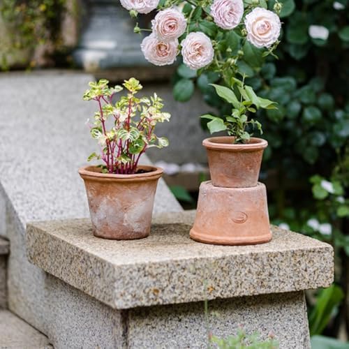 2/3 Pack Terracotta Planter, Breathable Clay Flower Pots, Red Clay Terracotta Plant Pots with Drainage, Indoor Outdoor Terracotta Flower Pot for Home Garden Plant Planting/20Cm - Image 4