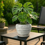 Deep Dream 8 Inch Plant Pots- Ceramic Pots for Plants with Drainage Hole and Saucer, Large Planter Pot for Indoor Plants Outdoor Decor, Brushed Green - Image 2