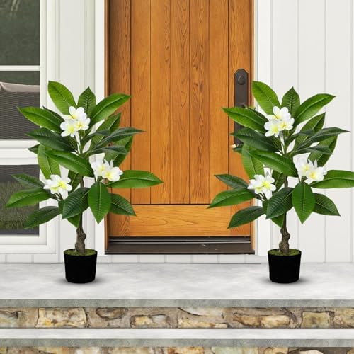 Briful Artificial Plants Indoor 26.77'' Fake Tropical Plumeria Flowers Tree Plants in Black Pot Hawaiian White Plumeria Rubra Faux Frangipani Tree Floor Plant for Home Office Wedding Decor - Image 5