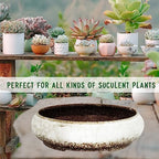 ARTKETTY Succulent Pots - 11.5 Inch Ceramic Bonsai Pots with Drainage - Image 7