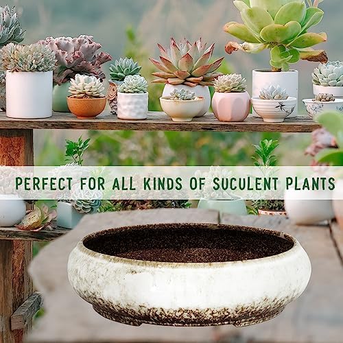 ARTKETTY Succulent Pots - 11.5 Inch Ceramic Bonsai Pots with Drainage - Image 7