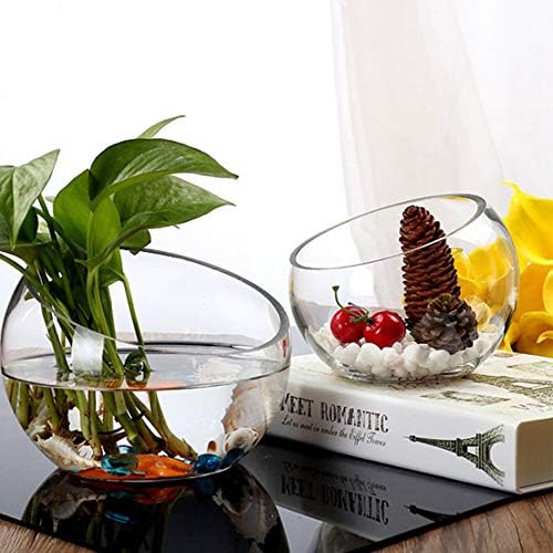 WGV Slant Cut Bowl Glass Vase Bulk, Width 9", Height 8.25", Clear Terrarium, Candy Dish, Fruit Jar, Floral Container for Wedding Party Event, Home Office Decor, 4 Pieces - Image 7