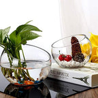WGV Slant Cut Bowl Glass Vase Bulk, Width 9", Height 8.25", Clear Terrarium, Candy Dish, Fruit Jar, Floral Container for Wedding Party Event, Home Office Decor, 4 Pieces - Image 7