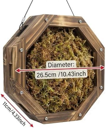 Staghorn Fern Mounting Kit - Wood Wall Planter for Orchids,Herbs & Indoor Plants | Hanging Plant Holder, Basket & Stand for Wall Decor(10.43inch) - Image 3