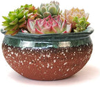 8 Inch Glazed Terracotta Plant Pot Round Ceramic Succulent Planter Pot with Drainage and Saucer Cactus Clay Pot Bonsai Pot (Dark Green Rim) by SUMMERIMPRESSIONS