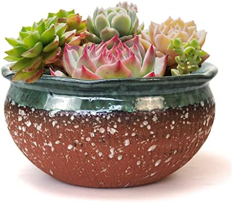 8 Inch Glazed Terracotta Plant Pot Round Ceramic Succulent Planter Pot with Drainage and Saucer Cactus Clay Pot Bonsai Pot (Dark Green Rim) by SUMMERIMPRESSIONS