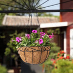 Ashman Metal Hanging Planter Basket with Coco Coir Liner Round Wire Plant Holder Chain Porch Decor Flower Pots Hanger Garden Decoration Indoor Outdoor Watering Hanging Baskets (4) - Image 4