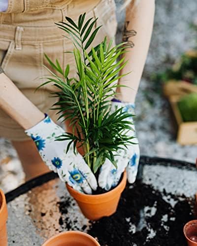GARDENERA Palm Tree Potting Mix - The Ultimate Soil for Strong and Healthy Palms - Top Choice for Palm Tree Growers [4 Quart Bag] - Image 4