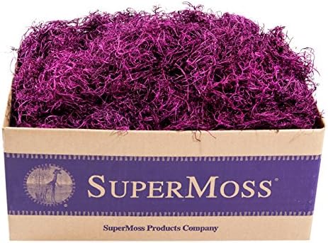 SuperMoss (27013 Preserved Spanish Moss – Decorative Moss for Crafts, Potted Plants, Fairy Gardens, Vase Filler, Floral Arrangements & Indoor/Outdoor Garden Projects, 3 lbs, Violet by SuperMoss