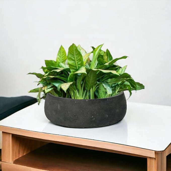 Pottery Pots Elegant Low Planter Pot Modern Heavy Fiberstone | Deorative Plant Pot Indoor Outdoor Black Washed 4.5" H x 11.5" - Image 2
