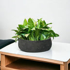 Pottery Pots Elegant Low Planter Pot Modern Heavy Fiberstone | Deorative Plant Pot Indoor Outdoor Black Washed 4.5" H x 11.5" - Image 2