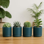 D'vine Dev 4-Pack Ceramic Pots with Saucers, Teal, 3.5 in, 94-X-A-9 - Image 3