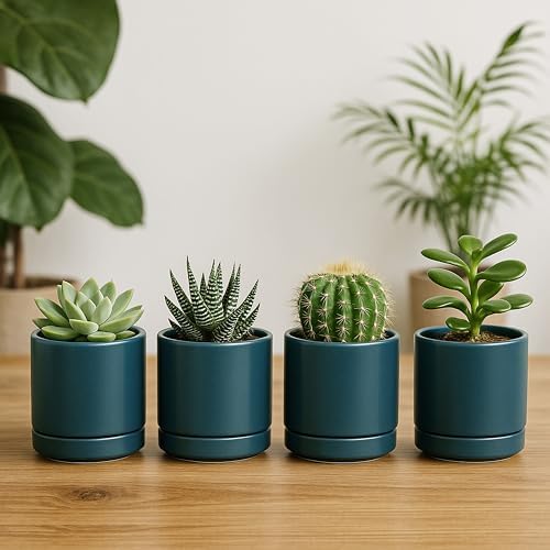 D'vine Dev 4-Pack Ceramic Pots with Saucers, Teal, 3.5 in, 94-X-A-9 - Image 3