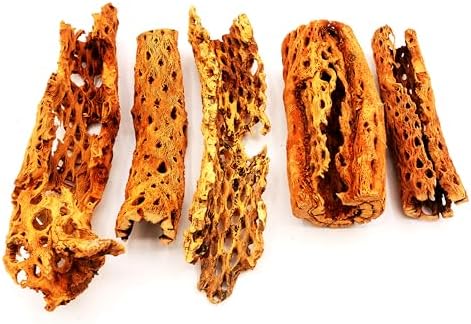Natural Cholla Wood Chunk Large Air Plant Display Holders Individually Unique Decorative Stands or Holder (Cholla Chunk Extra Large) - Image 6