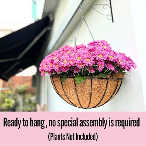 LaLaGreen Large Hanging Baskets (18 in, 4 Pack) Black Metal Coco Liner Pots - Image 6