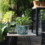 SQOWL 8 Inch Plant Pot - Ceramic Planter for Indoor Plants, Decorative Flower Pot with Drainage Hole and Saucer, Round Planter Outdoor, Room Patio Decor, Garden Gifts for Women, Green - Image 5