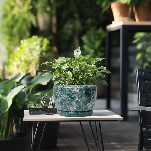SQOWL 8 Inch Plant Pot - Ceramic Planter for Indoor Plants, Decorative Flower Pot with Drainage Hole and Saucer, Round Planter Outdoor, Room Patio Decor, Garden Gifts for Women, Green - Image 5