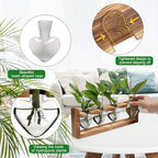 Plant Propagation Stations Heart Plant Terrarium Kit - Image 2