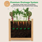 GRAFFY Raised Garden Bed, Folding Wood Planter Box w/Removable Bottom & Drainage, Indoor Outdoor Square Elevated Planter for Flower Herb Vegetable Fruit, Plant Container for Grass Lawn Patio Backyard - Image 5