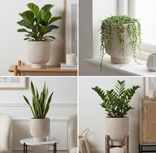 Olly & Rose Barcelona Raised Ceramic Plant Pot 22.5 x 24.5cm Patterned Light Beige Large Plant Pots Outdoor and Indoor - Beige Planters - Flower Pots - Image 2
