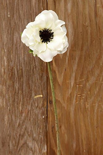 Richland Cream White Silk Anemone Flowers 15" Set of 12 by Richland
