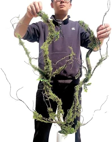 43 inches Moss Twig Vines Artificial Trees Branches Jungle Climber Fake Greenery Twigs Trunk with Greenery for Home Decor Garden Landscape Hanging Reptile Habitat Decor (Green - Pack of 2) - Image 2