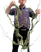 43 inches Moss Twig Vines Artificial Trees Branches Jungle Climber Fake Greenery Twigs Trunk with Greenery for Home Decor Garden Landscape Hanging Reptile Habitat Decor (Green - Pack of 2) - Image 2
