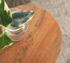 Kate and Laurel Dahl Wooden Round Drink Table; 8 x 23; Walnut Brown; Mid-Century Modern Circle Wood Accent Pedestal Table for Living Room Plant Stand or Small Bedroom Nightstand - Image 6