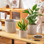 vancasso Ceramic Planters, Plant Pots for Indoor Plants, 6.25+8.25+10.25 Inch Ceramic Pots for Plants, Flower Pots with Drainage Holes (Gray, 6.25+8.25+10.25 Inch) - Image 5
