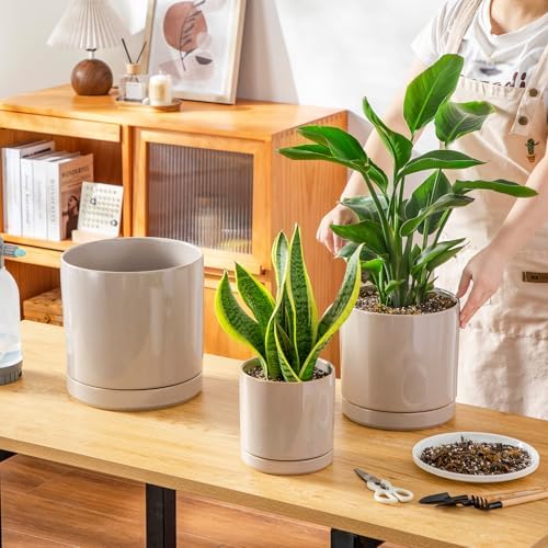 vancasso Ceramic Planters, Plant Pots for Indoor Plants, 6.25+8.25+10.25 Inch Ceramic Pots for Plants, Flower Pots with Drainage Holes (Gray, 6.25+8.25+10.25 Inch) - Image 5