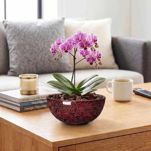 Bonsai Pots 8 Inch, Ceramic Succulent Pots, Red Leopard - Image 7
