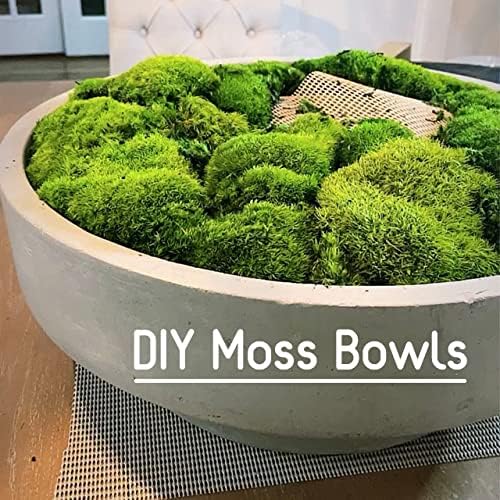 Preserved Pole Moss Pillow Bun Cushion Natural Green Decorative Real Natural Green DIY Kit Terrariums Gardenning Art Wall Decor Florist Decor Easter Table Decor Wedding(13.5 sq.ft., Green-B) - Image 2