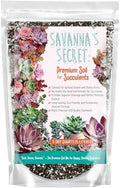 GARDENWISE Premium Organic Succulent Potting Mix – Well-Draining Indoor Plant Soil – Safe, Eco-Friendly, UV-Treated – Perfect for Succulents, Aloe, and Cacti – Handcrafted in The USA (3 Quarts) by GARDENWISE