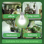 Briignite Grow Light Bulbs, Full Spectrum Grow Light Bulb, LED Grow Light - Image 6