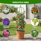 2 Pack Garden Obelisk Trellis for Climbing Plants, 6 FT Metal Rustproof Plant Support Rose Trellis, Tower Potted Cages for Flowers Fruits Vegetable Vines Indoor & Outdoor, Green(4 Tiers) - Image 5