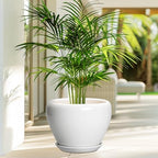 Ceramicfor Ceramic Pot for Plants - 10 Inch Planter with Drainage Hole and Saucer, Glaze Modern Round Flower Pot for Indoor Plants, Housewarming Gift, Home Decor, White - Image 4